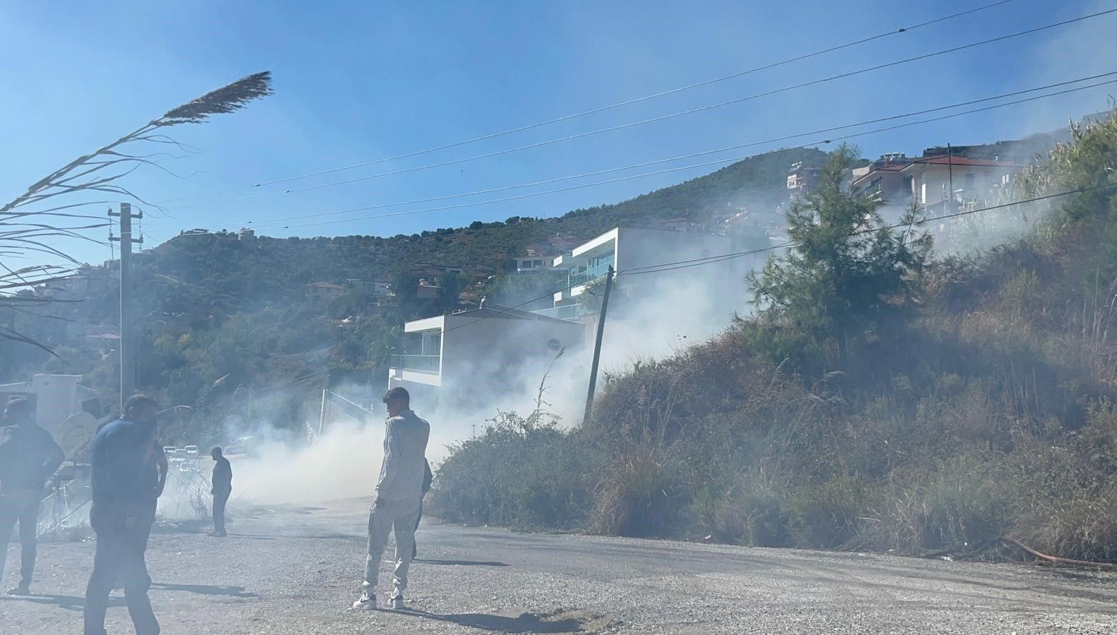 alanyada ormanlik alanda yangin lvQS6eOD.jpg