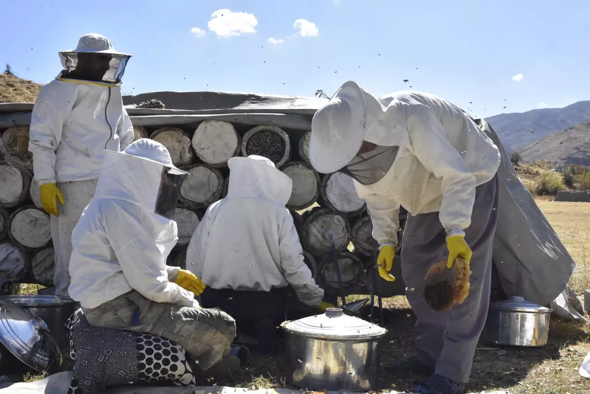 bitliste kara kovan bali hasadi basladi Ze4EtPWp.jpg