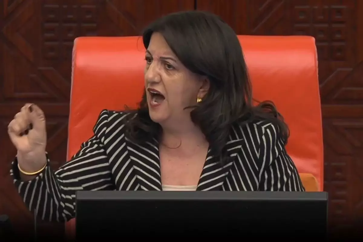 pervin buldanin isim vererek teshir ettigi vekil bana cinsiyetci mesaj gonderdi zttvmFNO.jpg