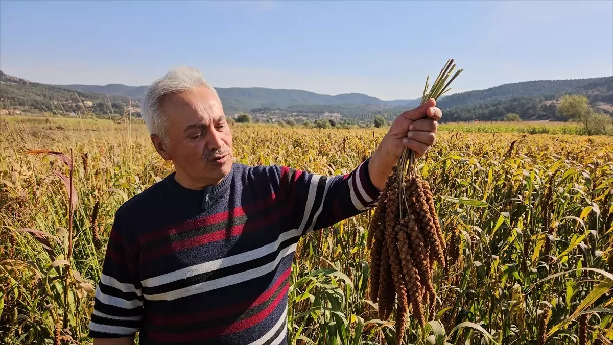 sindirgida daldari hasadi basladi 7XnaNaO6.jpg