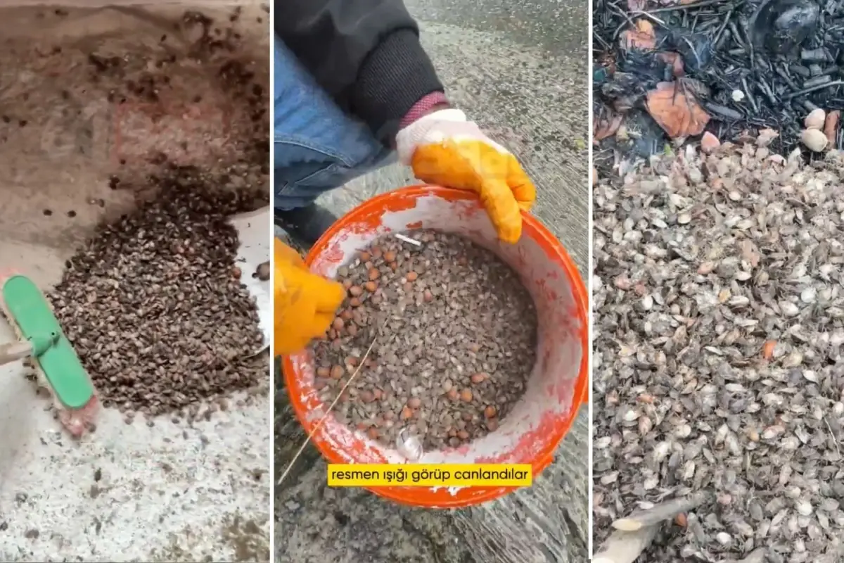 turkiyenin oteki gundemi son virajdayiz diyen vatandastan endiselendiren sozler 1JN3Zfi4.jpg