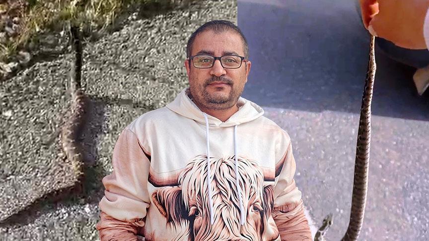 yer kutahya zehirli engerekle olum dansi ben bir delilik yaptim sgEyQlCk.jpg